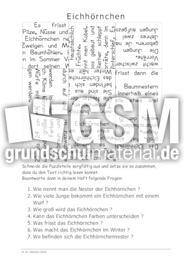 Eichhörnchen.pdf